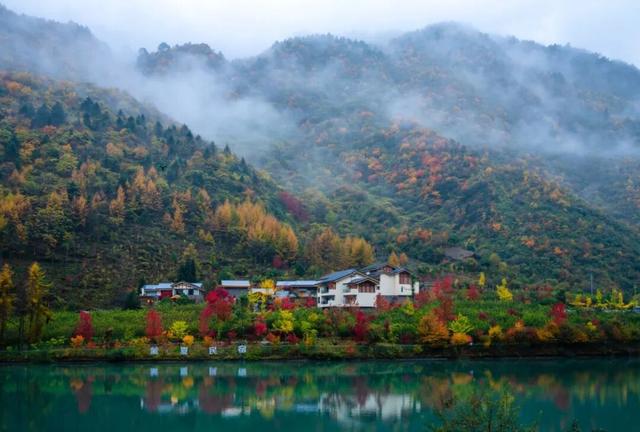 绝美秋色即将上线｜汶川的秋天，不加滤镜都美醉~