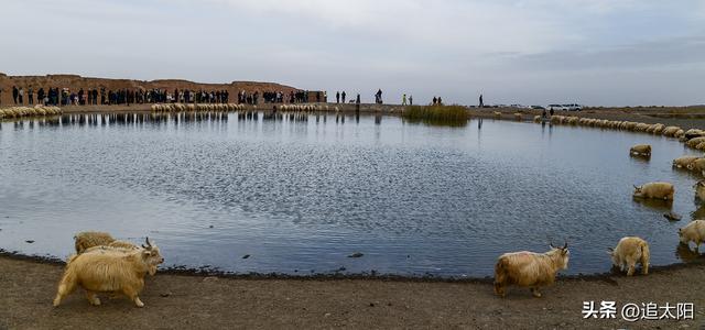 初冬，古城迎来西行客