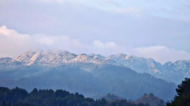 雪景 │ 美到词穷！仁怀首场雾凇惊艳上线