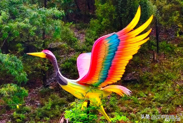 当光影遇上森林，汉中的夏夜如此动人清凉！
