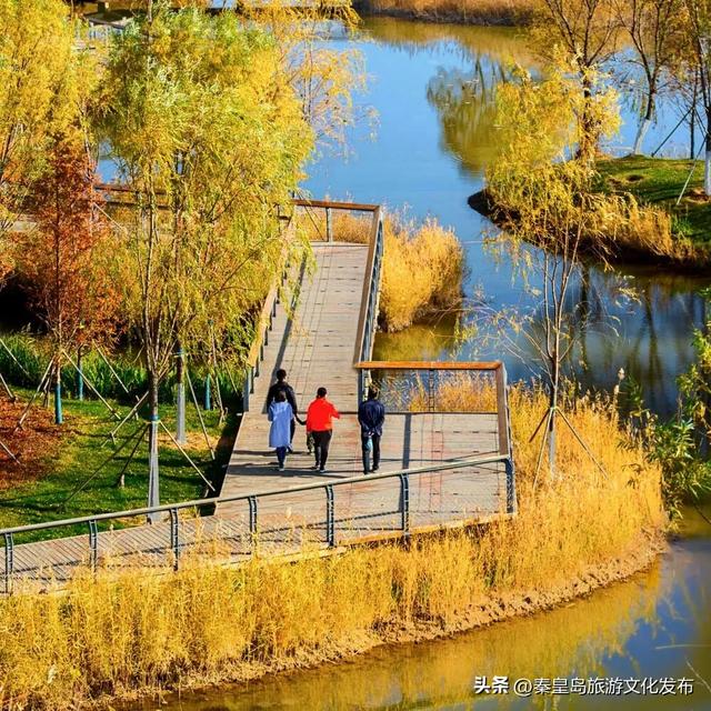 秦皇岛最大临海公园迎来“颜值巅峰”,栈桥听海、枫林斑斓,打卡走起!