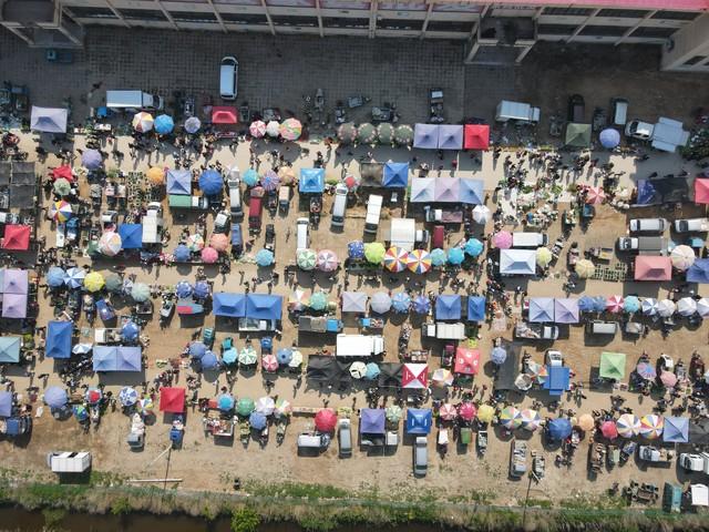 菜市场的烟火气，照见最真实的生活模样