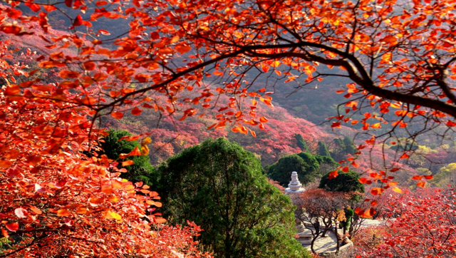 从赛道到风景：临朐马拉松文旅自驾游线路推荐
