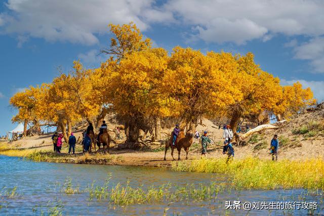 10月额济纳，金色胡杨林里，探寻中国最美秋天！