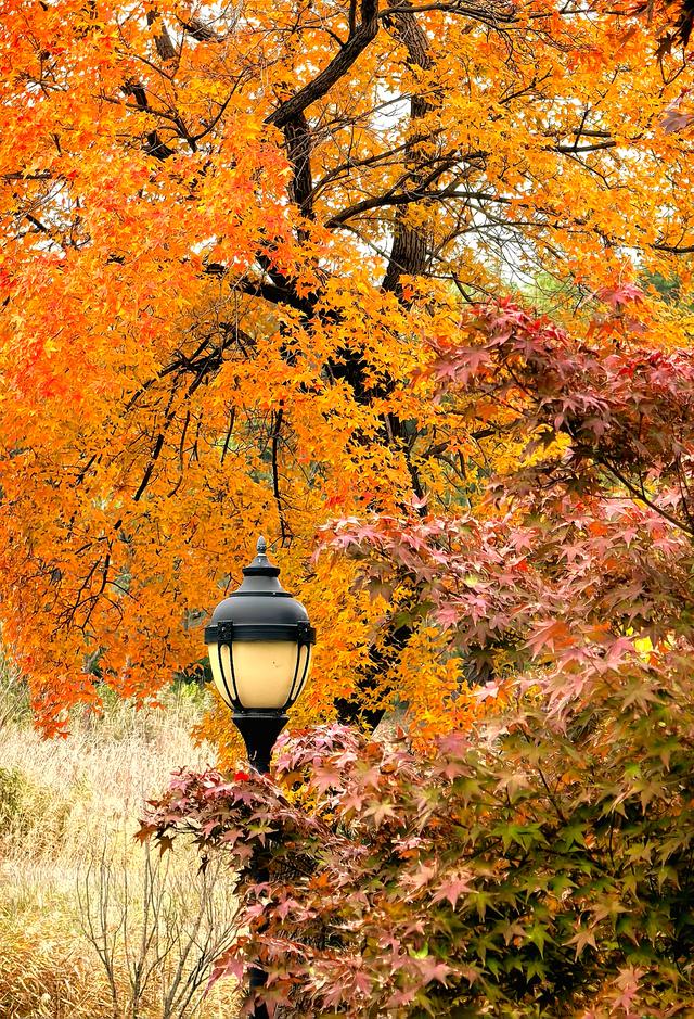 浞景无边，快乐亦无边~