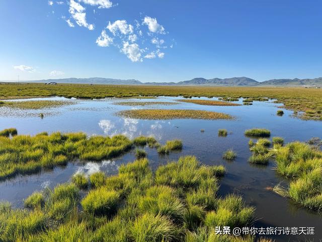 若尔盖大草原之花湖的梦幻仙境