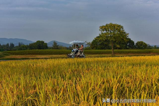 良渚古城一日游攻略｜穿越 5000 年文明，高效打卡世界遗产