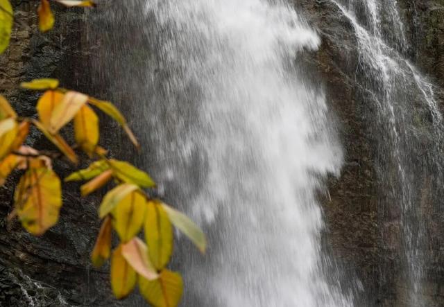 成县晚秋，是藏在秦岭南麓的色彩诗行