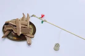 它被誉为“仙草”，久食轻身不老、延年益寿、止咳平喘、强壮筋骨图片