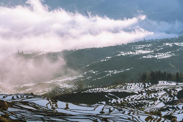 2-3月适合去哪里旅行，这6个地方，赴一场春日之约，看看好春光