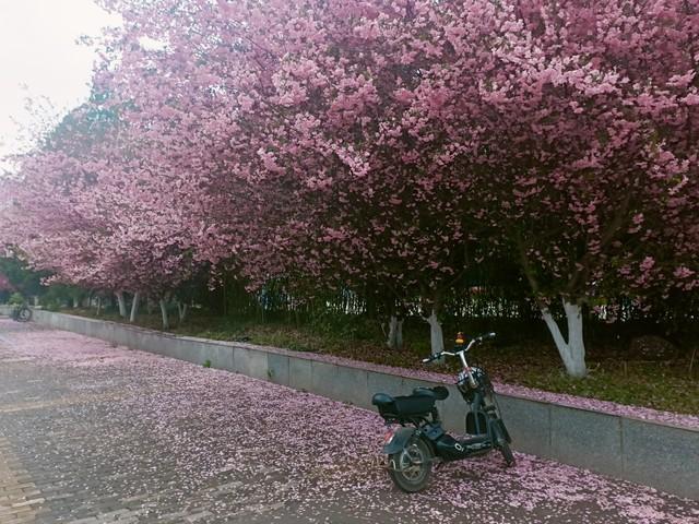 郑州人去了洛阳和开封，直言不讳：洛阳人和开封人气质截然不同！