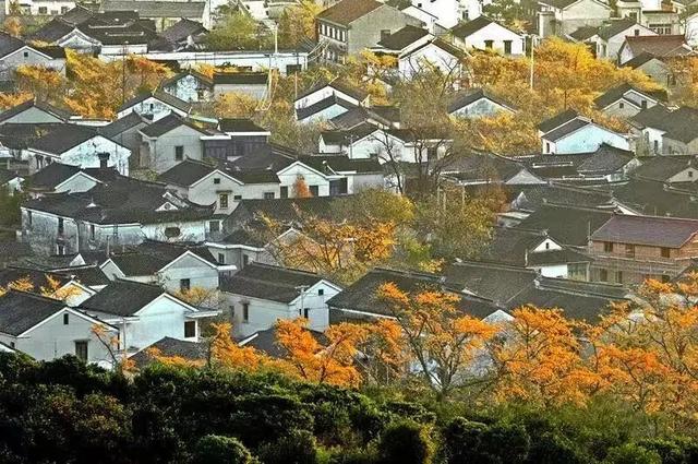 太湖边，每一步都是风景！