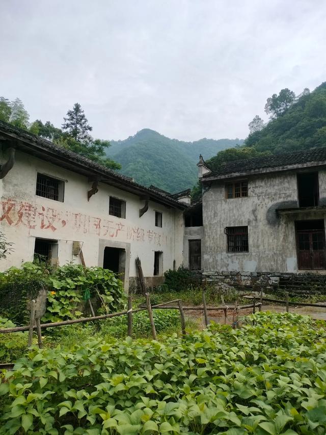 牯牛降半日禅（三）：白石岭篇