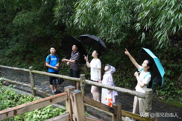 “渝黔生物基因库”黑山谷游记