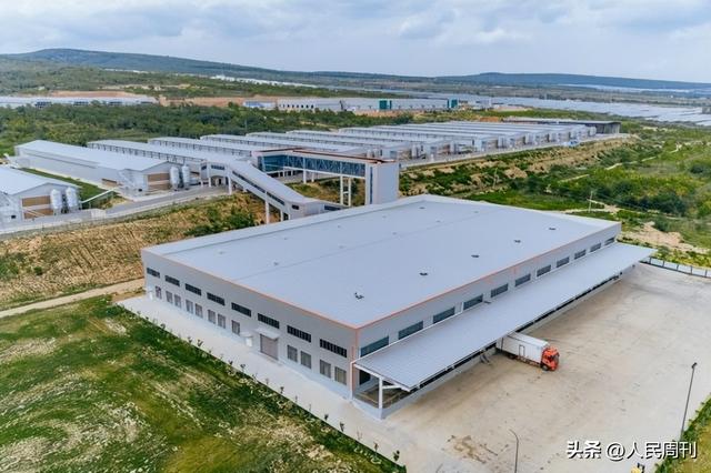 咸阳为什么那么美——古都焕新颜，高质量发展步履疾