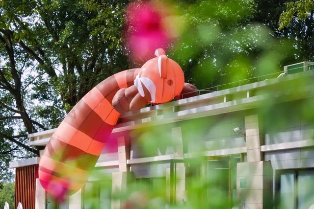 自然与文创碰撞！来云溪，赏玩全国精品，打卡羊城特色