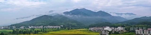 麻城最美稻田，请欣赏→