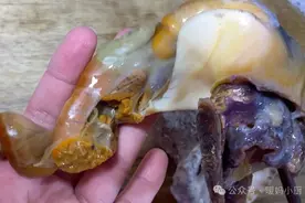 吃海螺时：尾巴到底是“黄”还是“屎”？能吃吗？今天总算明白了图片
