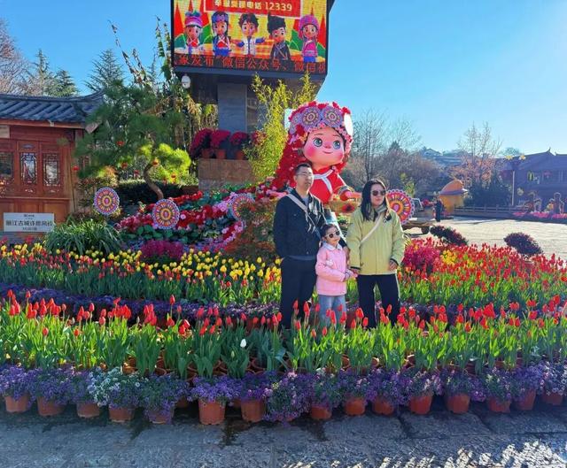 【网络中国节·春节】花海人潮映古城，八方游客来丽江过年