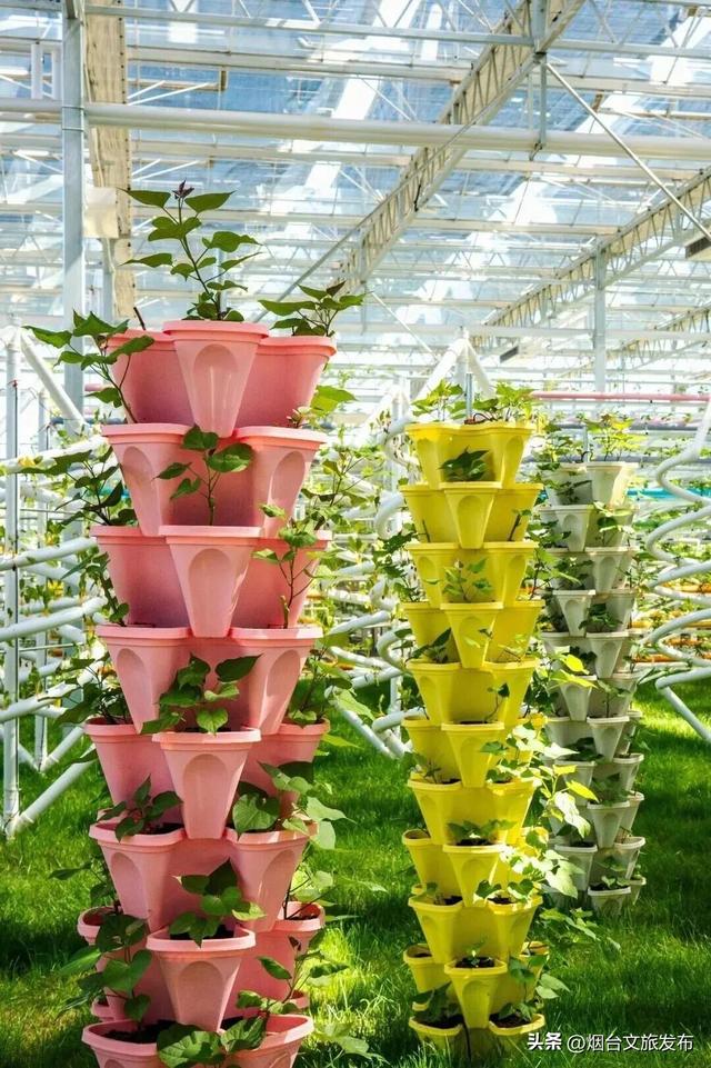 【乐游烟台】新晋遛娃地，烟台这家自然乐园超好玩