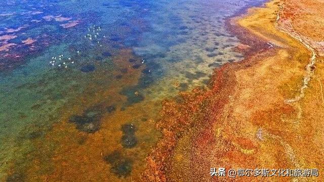 美到失语！秋天的七星湖，是上帝打翻的调色盘