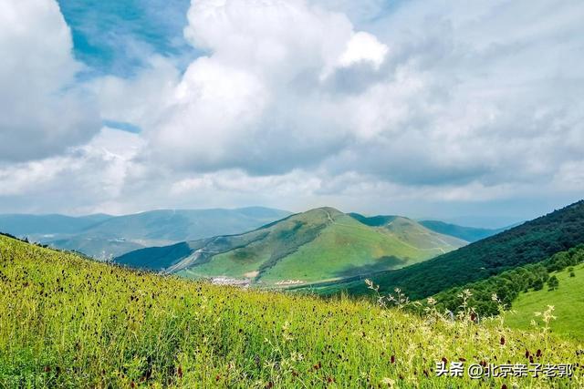 北京周边避暑秘籍🚗崇礼太舞小镇自驾超嗨攻略