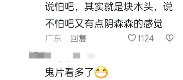 厉害了！广东女子晒出祖上传下来的衣柜，评论区竟然有传国玉玺！