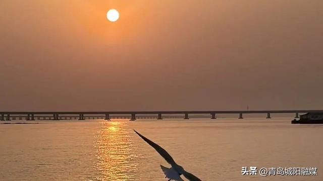 上周末，城阳“海上穿越大桥”环游航线火了！有人专程为它来青岛