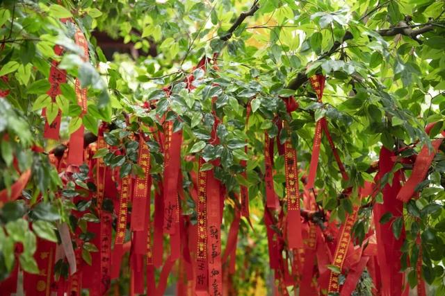 5分钟到达新兴南站！凭高铁票住房享9折优惠、泡汤泉低至¥48元/人！来禅域小镇玩转两天一夜！