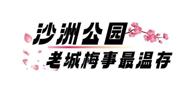 真香！张家港“梅”好将至