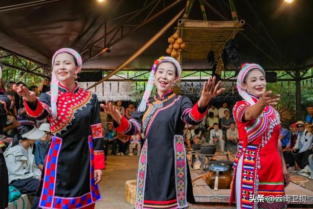 沿着长江去上海|剧透！云南展区演出单来了 神仙阵容带你提前“跳”进云南