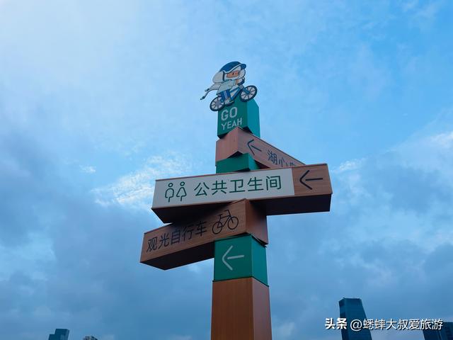 杭州超绝“波斯菊花海”来了，拍照遛娃露营齐全，地铁直达且免费
