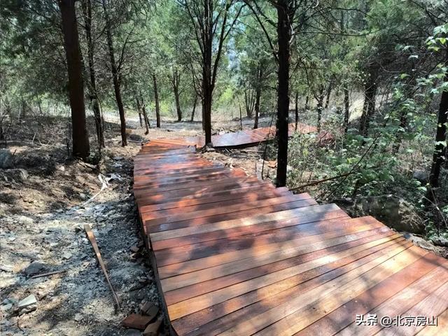 诚邀您共赴一场焕活身心的“森”呼吸之旅！