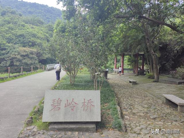 深圳马峦山看瀑布攻略（夏天避暑必去榜）