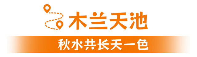 寒潮要来！黄陂最后的秋色等你来打卡！