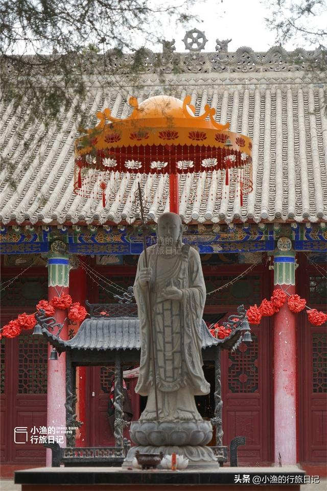 距离西安1.5H，它是全国100 株最美古树之一！第一眼看见就被震撼