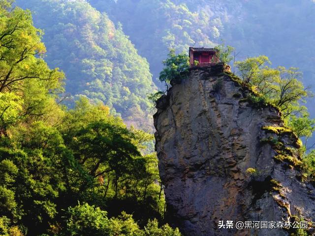 九月的黑河，一半是山野的绿意，一半是秋天的凉风