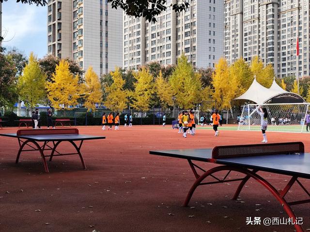 五线小城里的银杏大道,美翻全网的深秋景色原来在这里