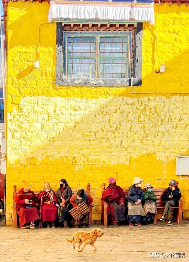 接下来，拉萨的冬天美哭你！