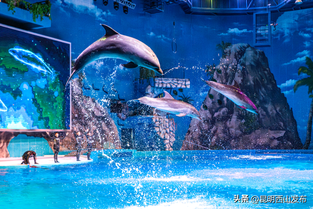 “山海同频”激活假日新场景 昆明融创文旅城绘就西山微度假新图景