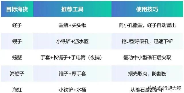 到海边去！大连市区赶海、喂海鸥全攻略