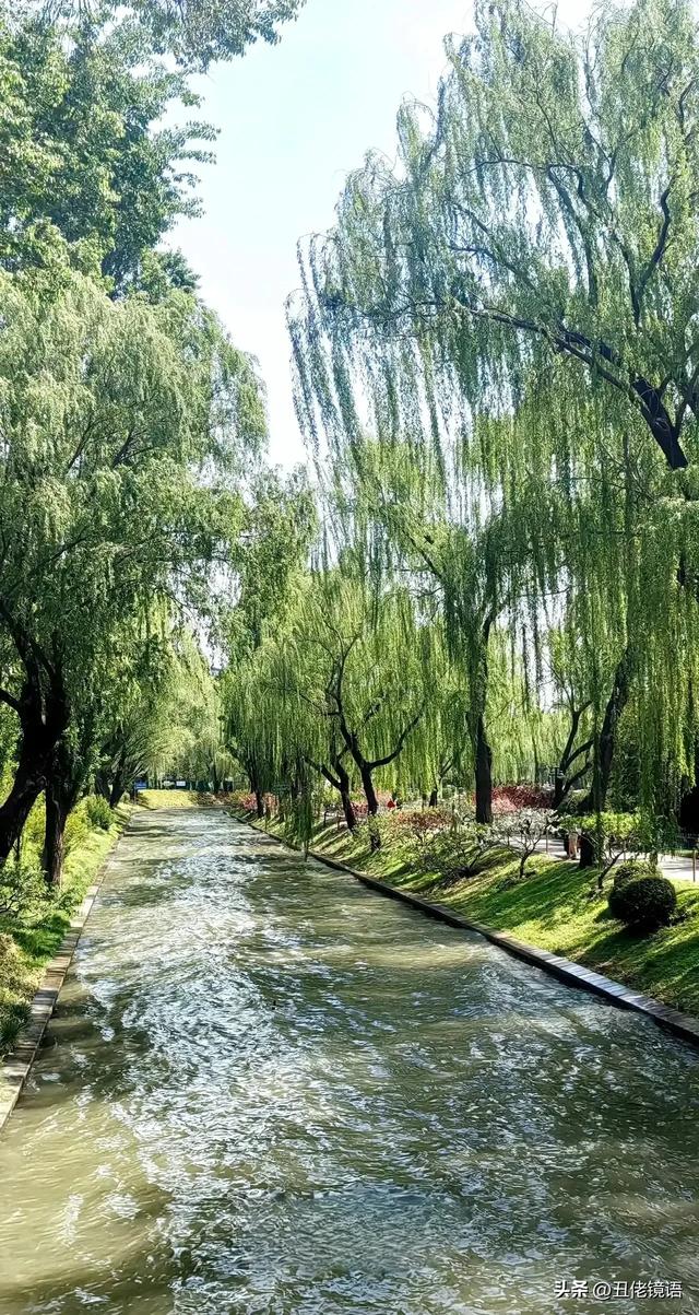 自拍影集（30）紫竹院公园风景绿水轻舟·上