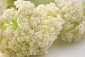 喜欢乱搞，小心屁股长“菜花”！图片