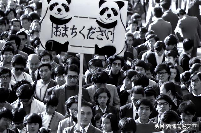 没有回旋余地	，中国下令直接收回，17万日本人泪奔，高市闯祸了！