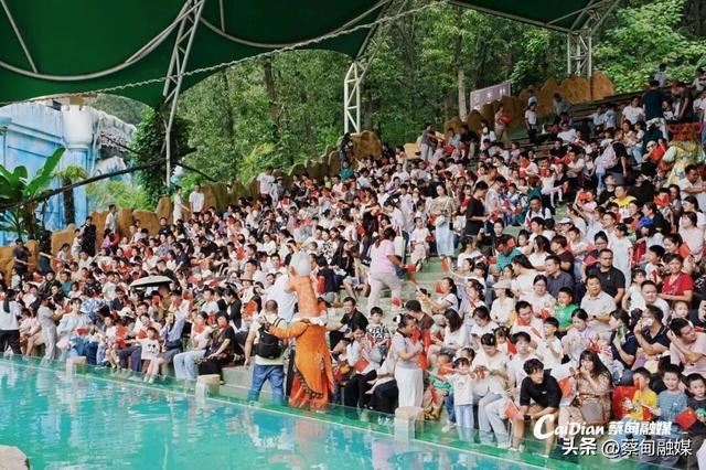 再次出圈！武汉野生动物王国冲上最受抖音网友欢迎特色景区全国TOP10