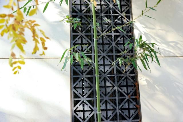 从从容容游刃有余！把江南的秋天“搬进”石景山——