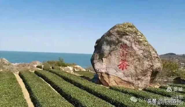 一路山海 百年渔村一一走进中国最美乡村之一青岛涝山青山村｜ 李 戬