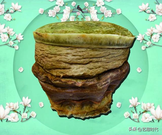 总重318斤！3A景区天津瓷艺园三株罕见野生太岁品相完好引关注