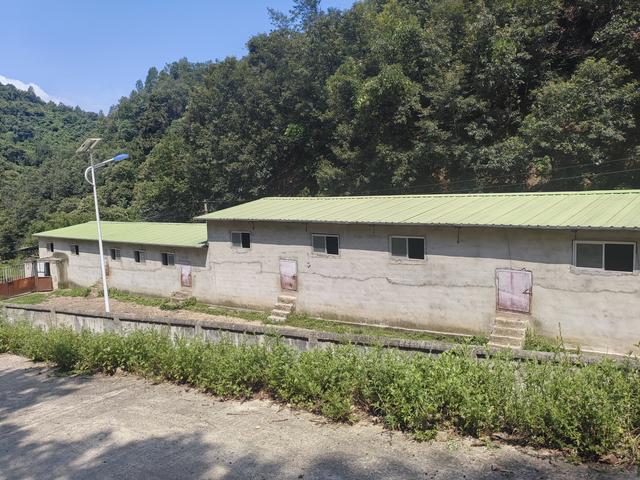 走进商南县清油河镇吊庄村：看物阜民丰的山水长卷