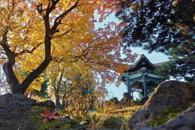 “枫”景如画！解锁伪满皇宫博物院的深秋诗意